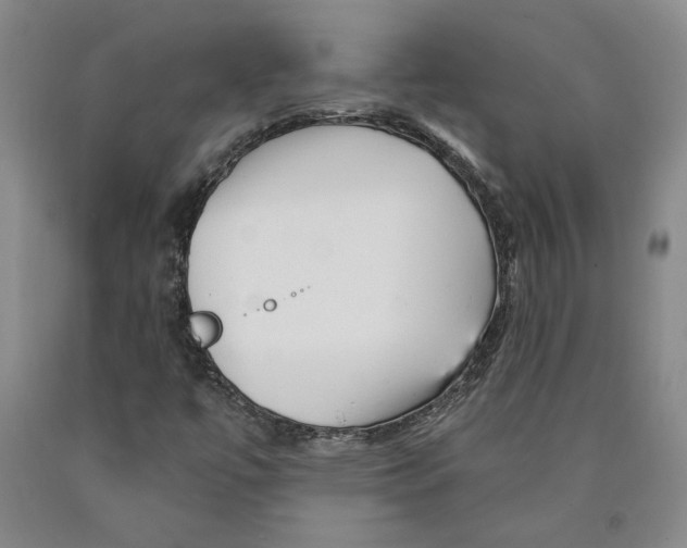 X0000089911447200707271704