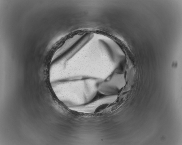 X0000089911448200707271704