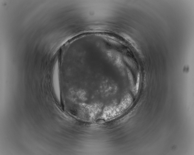 X0000089911449200707271704