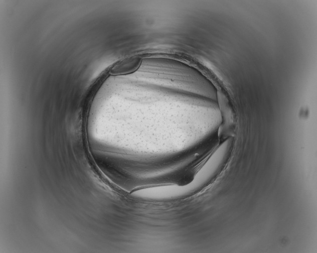 X0000089911450200707271704