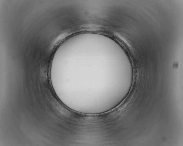 X0000089911451200707271704