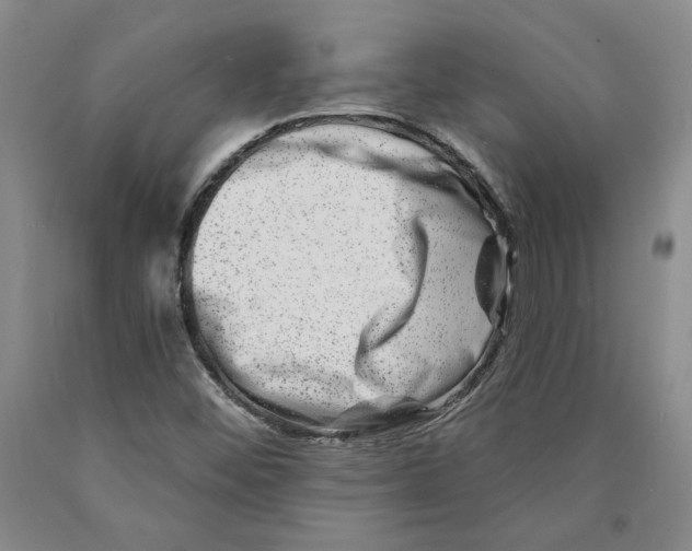 X0000089911452200707271704