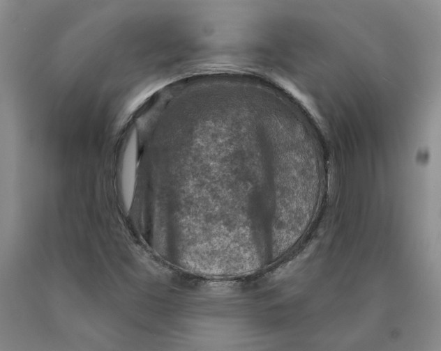 X0000089911453200707271704