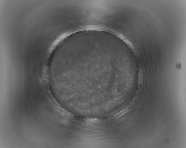 X0000089911454200707271704