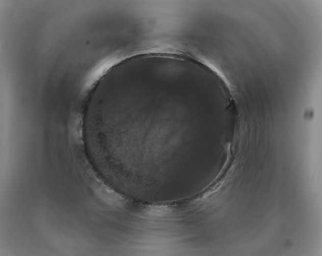 X0000089911455200707271704