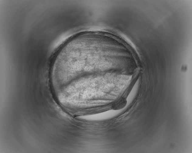 X0000089911456200707271704