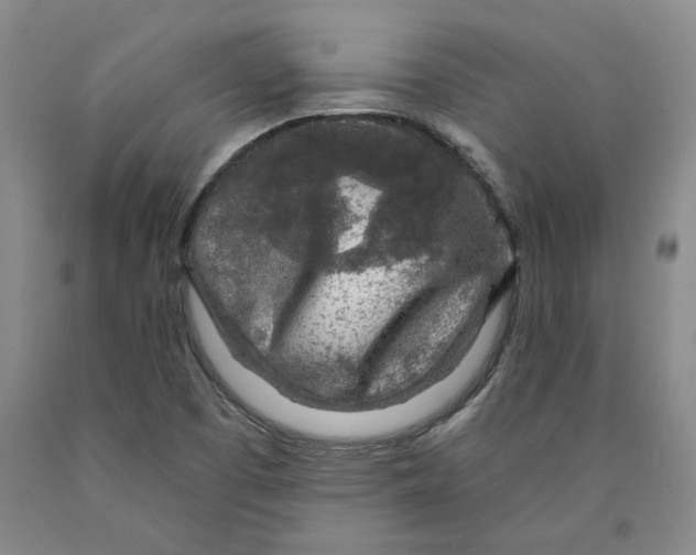 X0000089911457200707271704