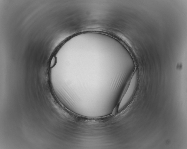 X0000089911458200707271704