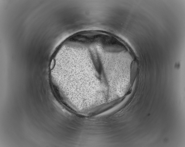 X0000089911460200707271704