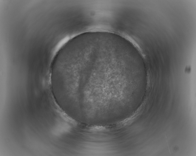 X0000089911462200707271704