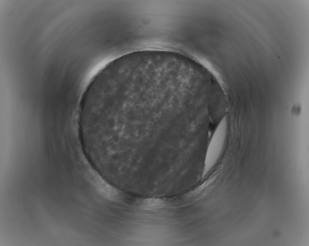 X0000089911463200707271704