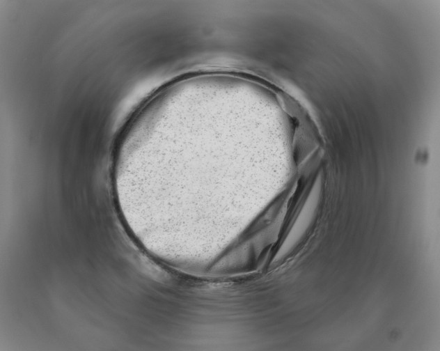 X0000089911464200707271704