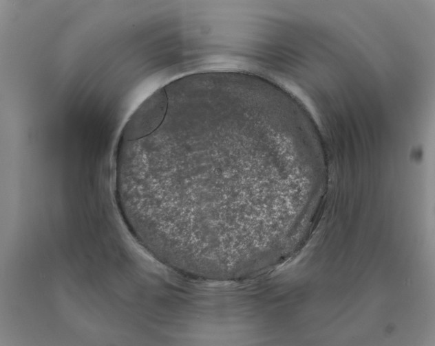 X0000089911467200707271704