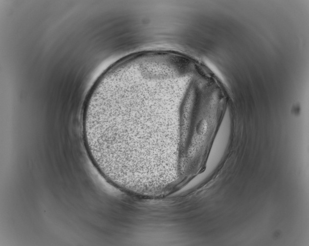 X0000089911468200707271704