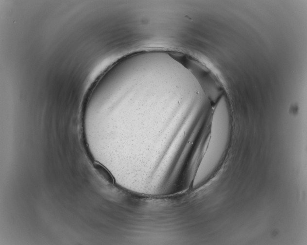 X0000089911469200707271704