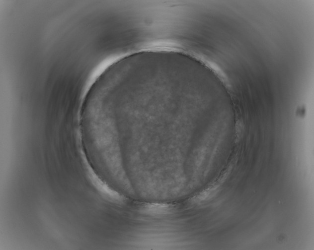 X0000089911470200707271704