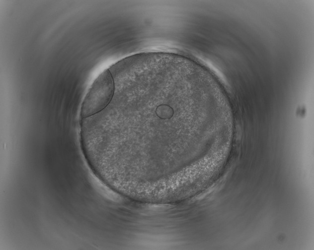 X0000089911471200707271704