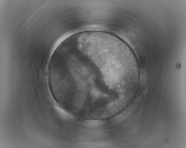 X0000089911474200707271704