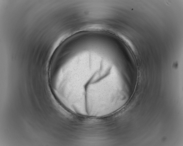 X0000089911475200707271704