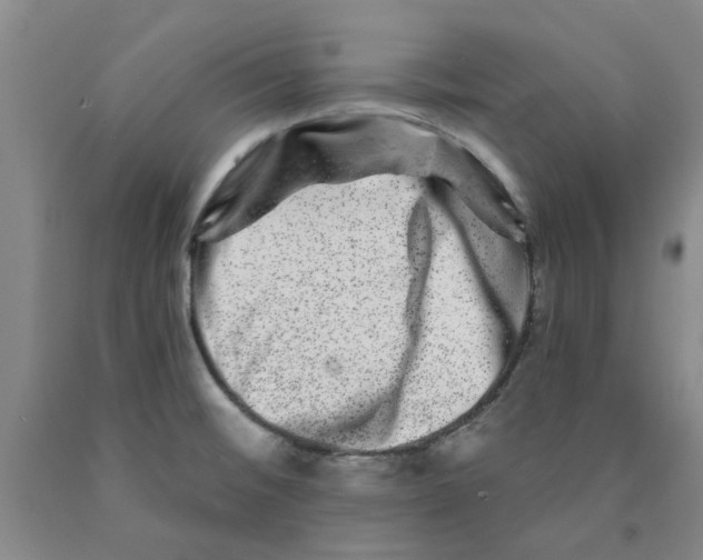 X0000089911476200707271704