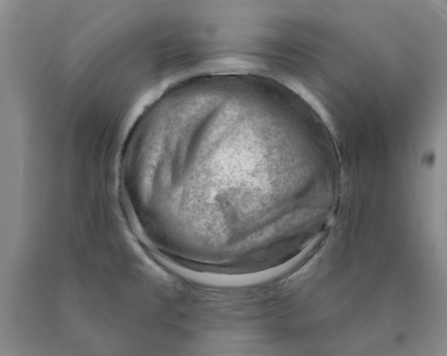 X0000089911477200707271704