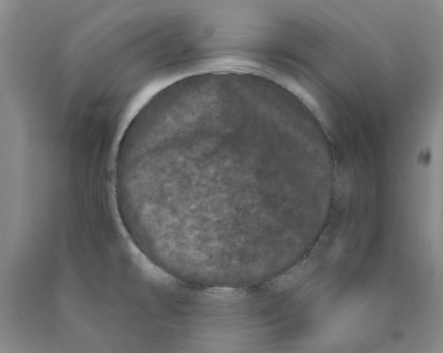 X0000089911478200707271704