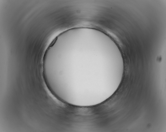 X0000089911479200707271704