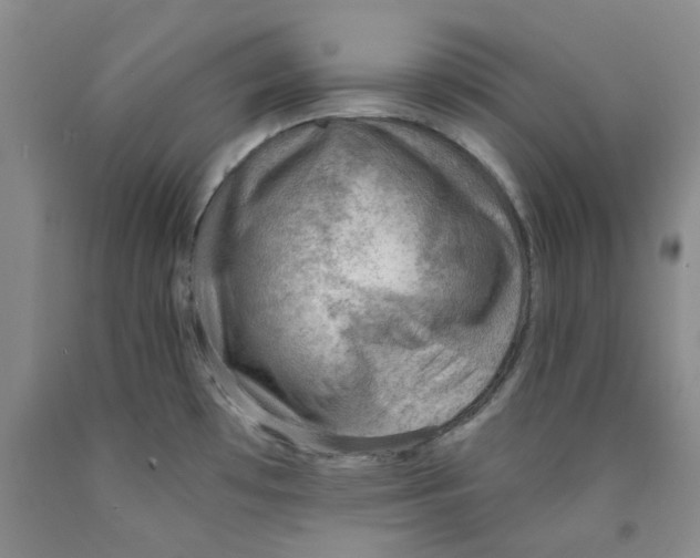 X0000089911481200707271704