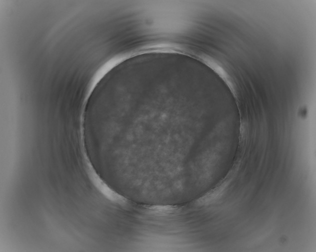 X0000089911482200707271704