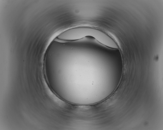 X0000089911483200707271704