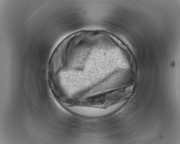 X0000089911484200707271704