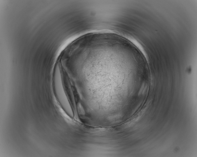 X0000089911485200707271704