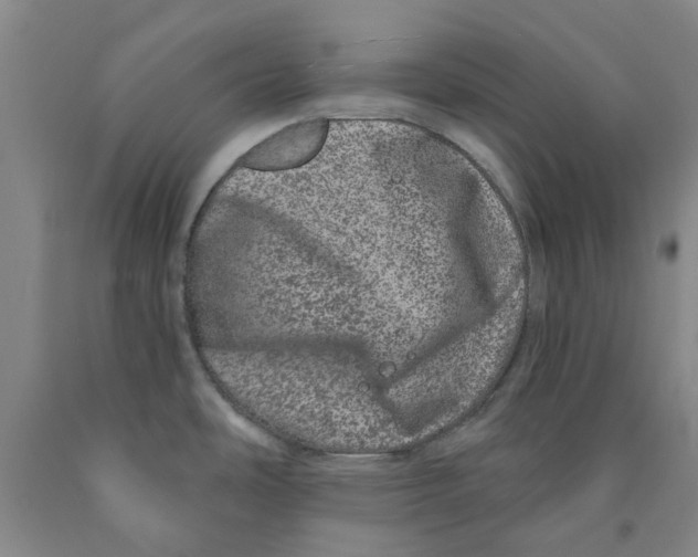 X0000089911486200707271704