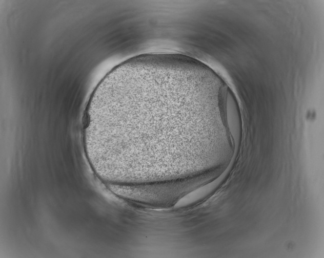 X0000089911488200707271704