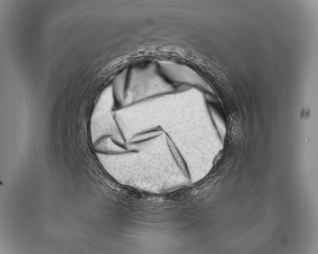 X0000089911489200707271703