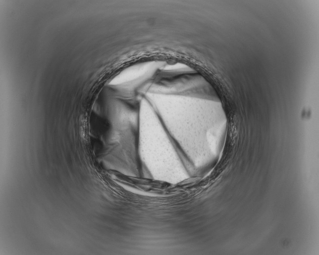 X0000089911490200707271703