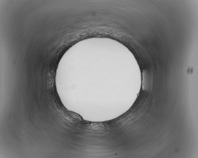 X0000089911491200707271703