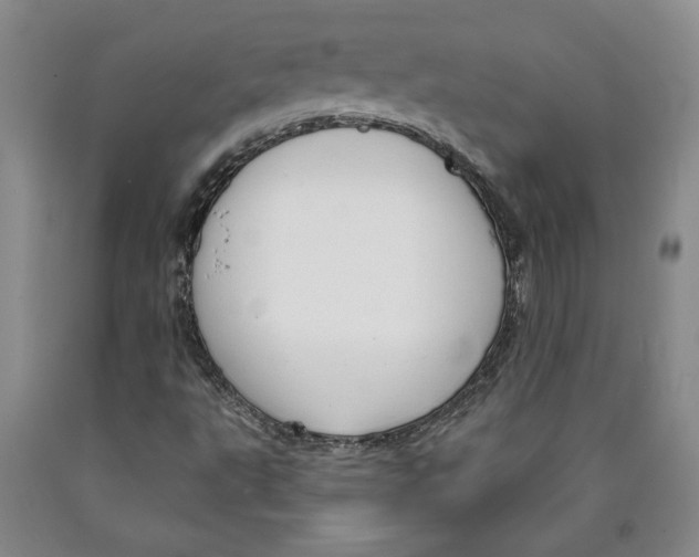 X0000089911495200707271703