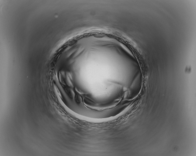 X0000089911496200707271703