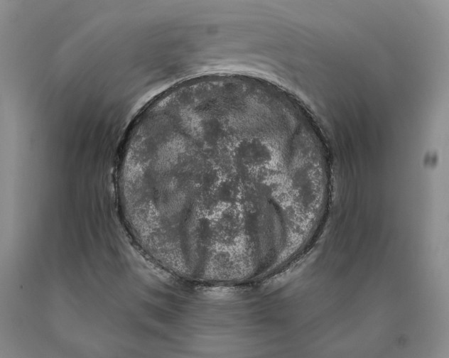 X0000089911497200707271703