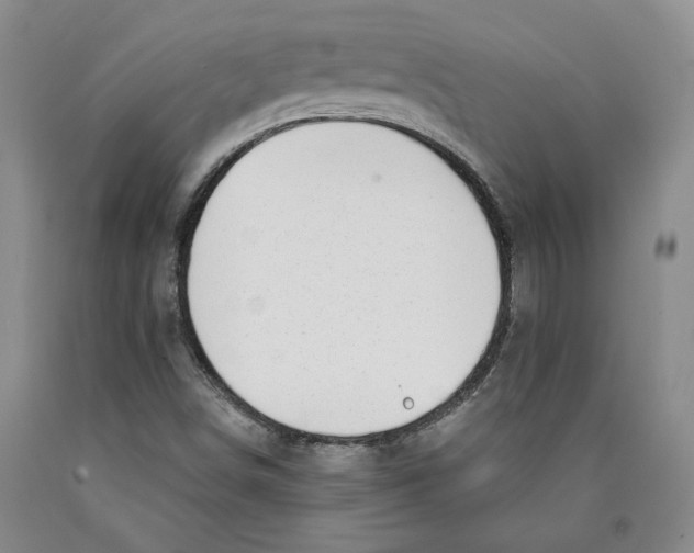 X0000089911498200707271703