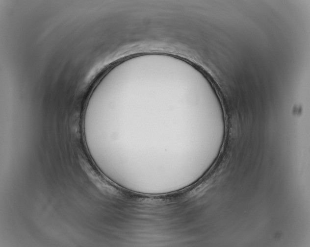 X0000089911499200707271703