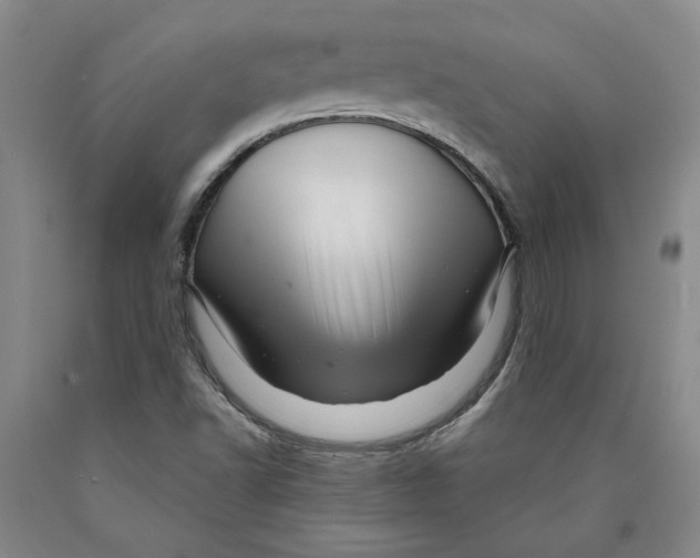 X0000089911502200707271703