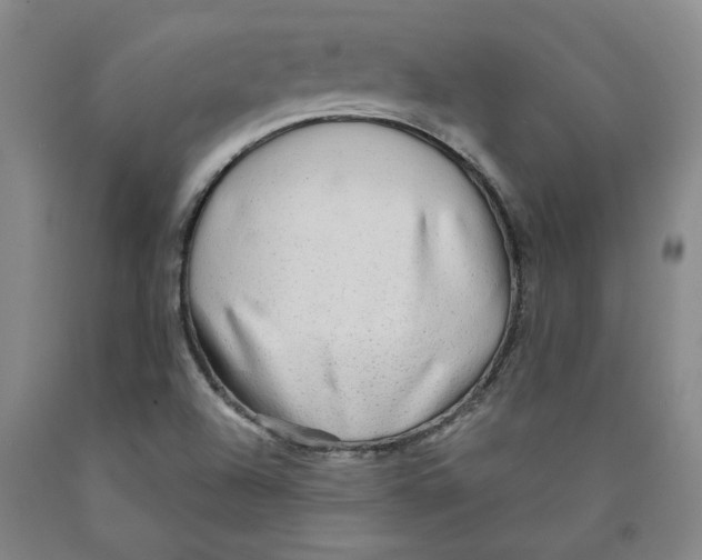 X0000089911504200707271703