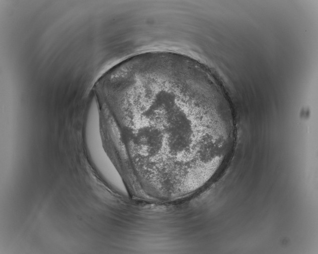 X0000089911505200707271703