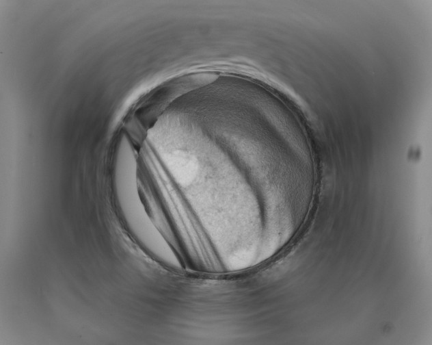 X0000089911506200707271703