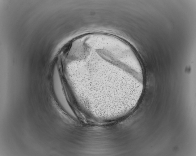 X0000089911507200707271703