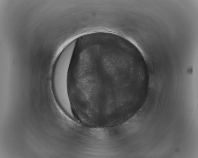 X0000089911508200707271703