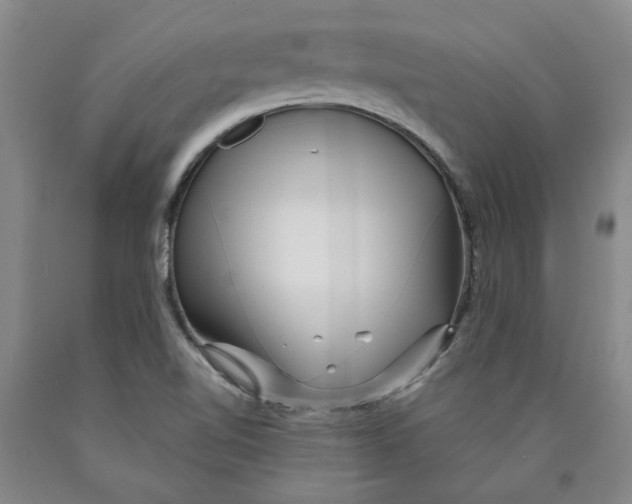 X0000089911510200707271703