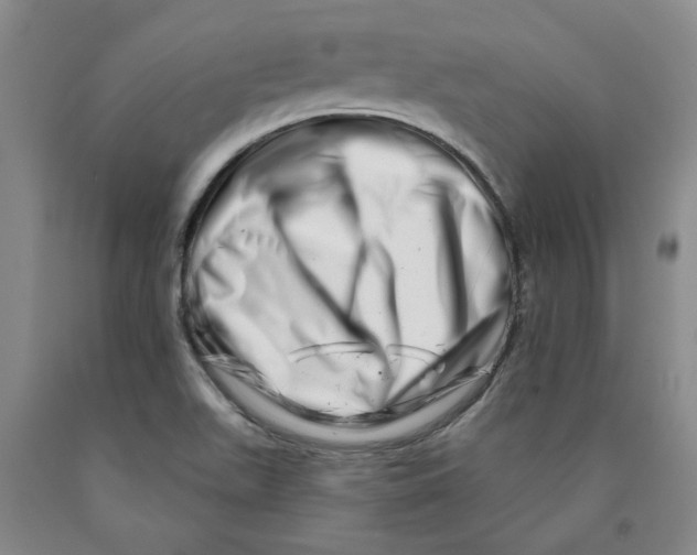 X0000089911511200707271704